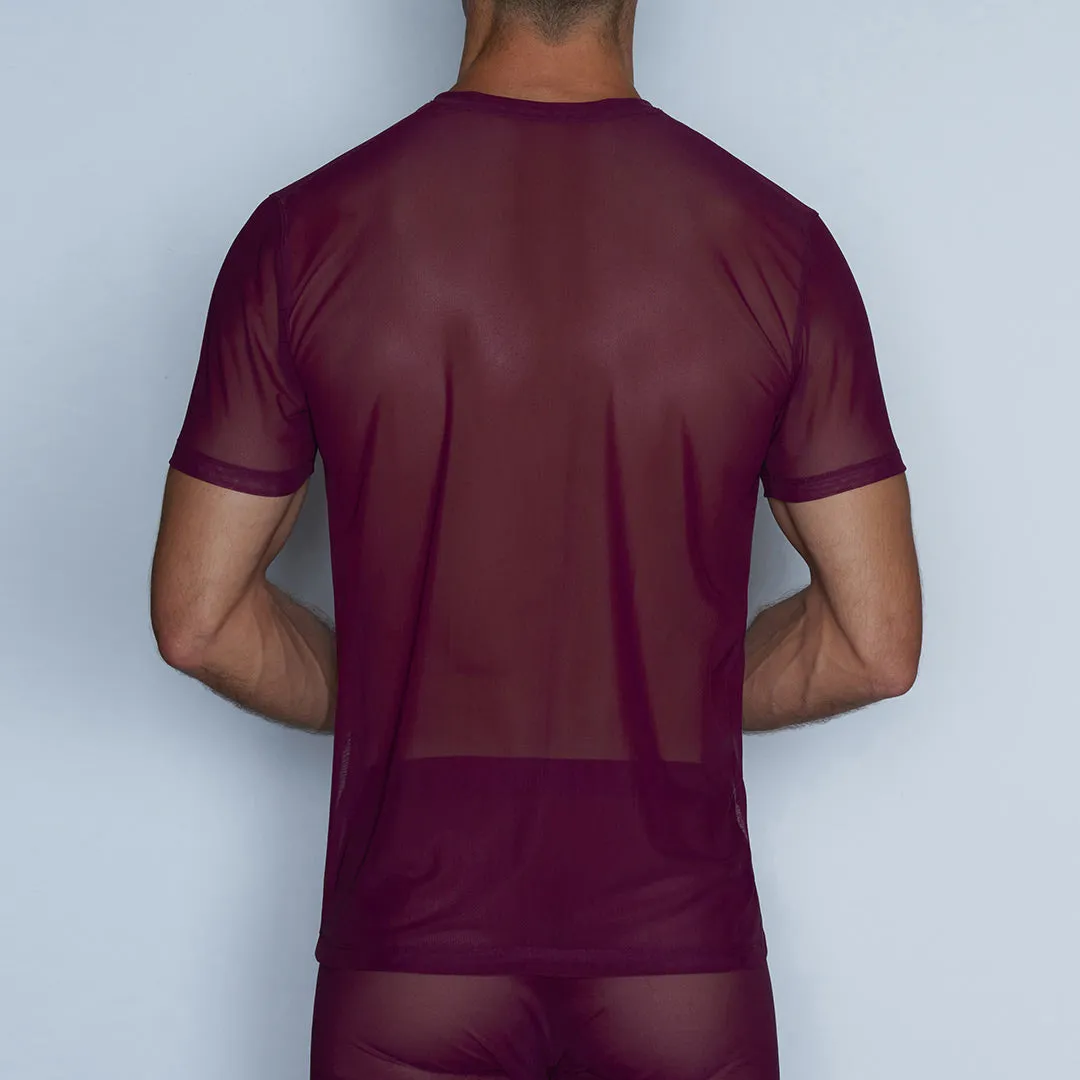 Sheer Crew Neck T-Shirt Perrie Purple
