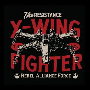 The resistance